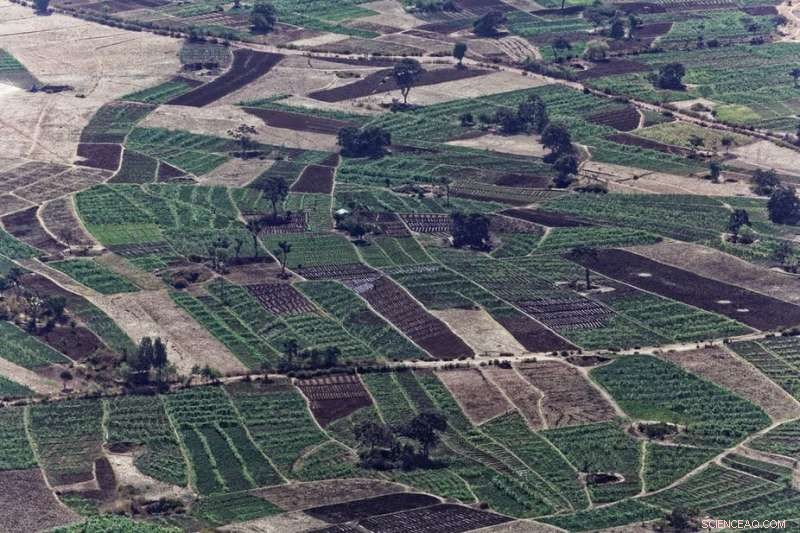 Irrigation Investment Drives Ethiopia’s Economic Boom