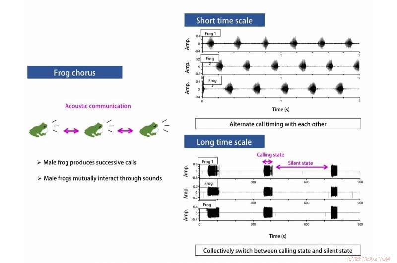How Frog Choruses Inspire Next-Generation Wireless Sensor Networks