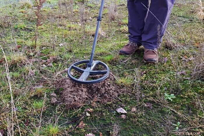 Roman Treasure Unearthed by Two Brothers: A Historic Metal Detecting Discovery