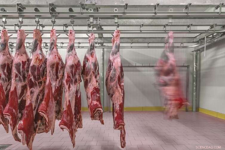 How Victorian Practices Sparked the Global Meat Crisis—and Offer Solutions