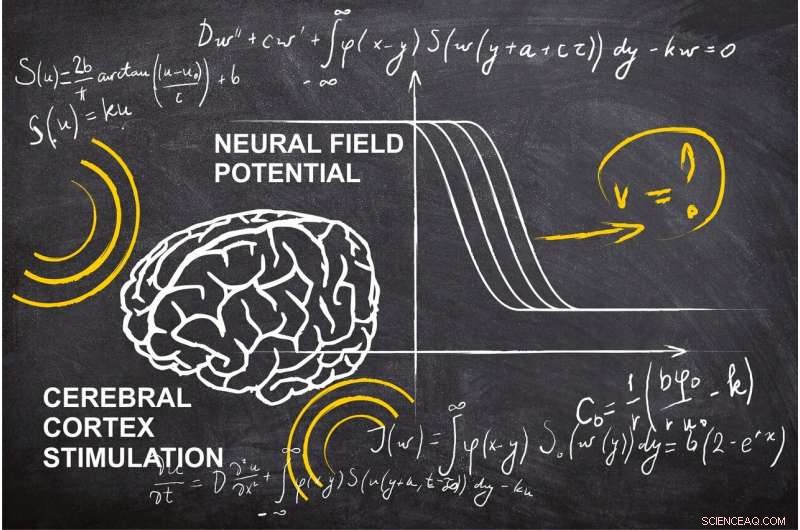 RUDN Mathematician Determines Brain Wave Velocity to Enhance Post-Stroke Therapy
