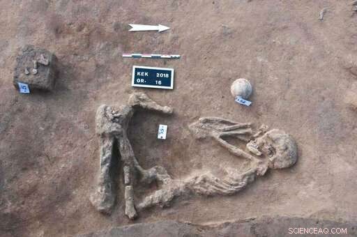 Egyptian Archaeologists Discover Ancient Tombs in Nile Delta