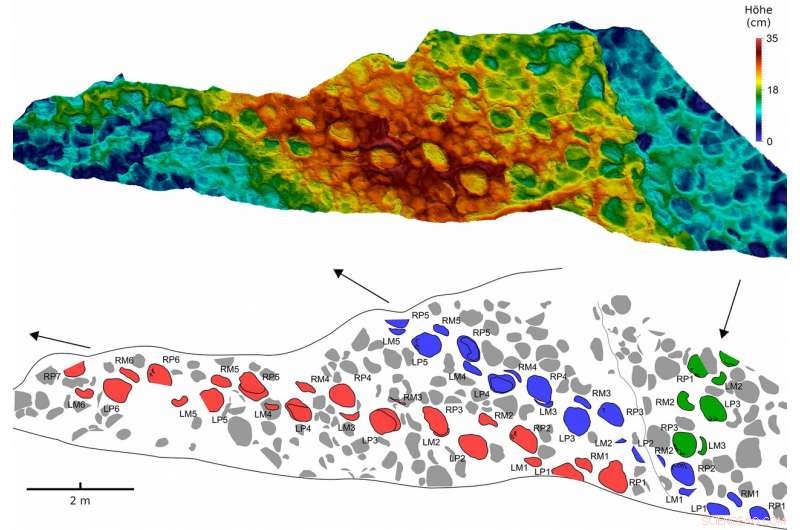 Sauropods  Footprints Reveal They Rotated Their Forefeet Sideways