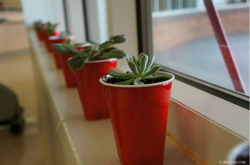 One-Hour Planting Party Boosts Spirits and Builds Skills for Women in Prison
