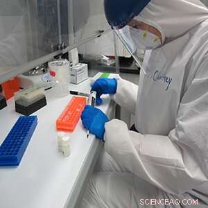 Experts Tackle Challenges in Preserving Ancient Biomolecules