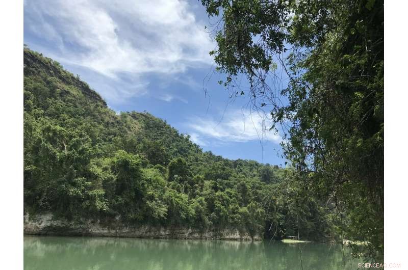 Pleistocene Human Colonization of Southeast Asia and Oceania: Thriving in Diverse Environments