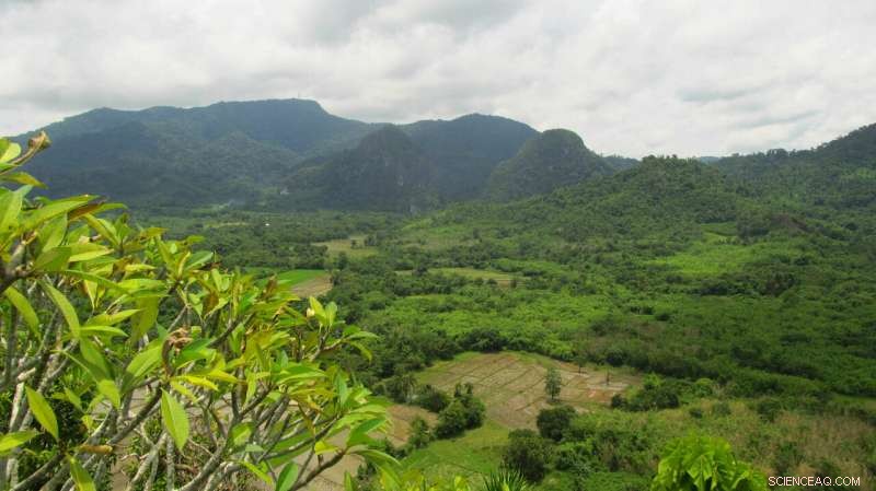 Pleistocene Human Colonization of Southeast Asia and Oceania: Thriving in Diverse Environments