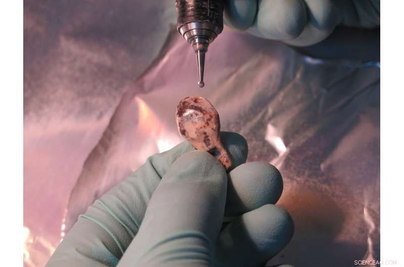 New Research Uncovers Ancient Denisovan and Neanderthal Presence in Southern Siberia