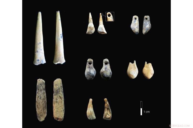 New Research Uncovers Ancient Denisovan and Neanderthal Presence in Southern Siberia
