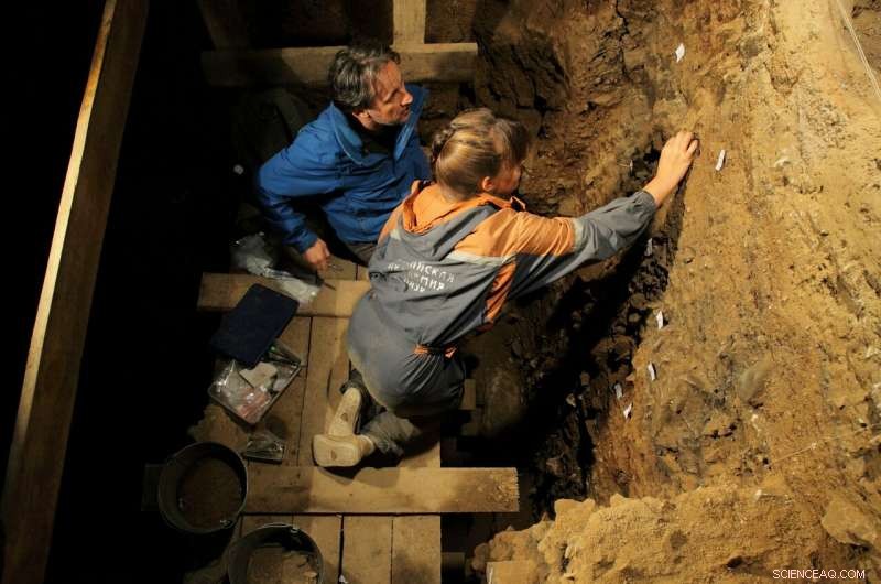 New Research Uncovers Ancient Denisovan and Neanderthal Presence in Southern Siberia