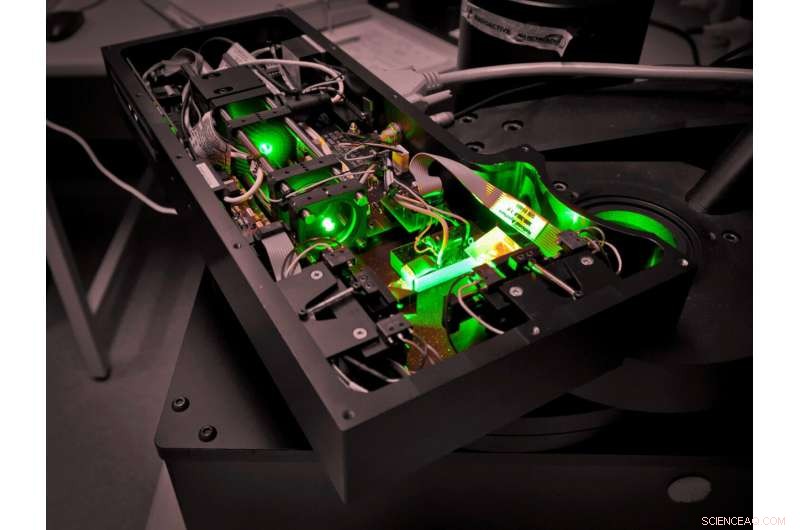 New Research Uncovers Ancient Denisovan and Neanderthal Presence in Southern Siberia