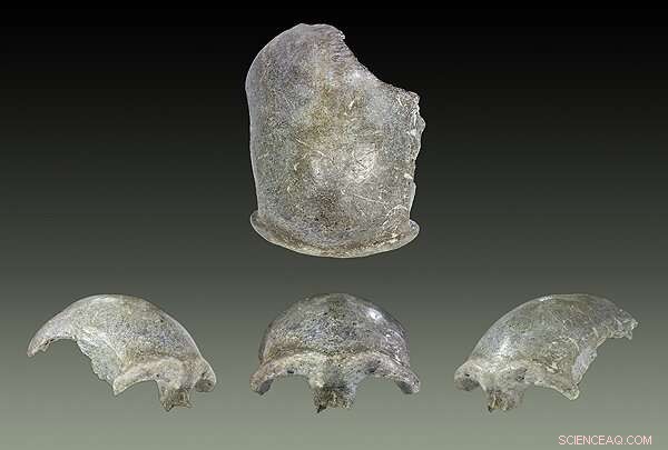 Oxford Study Reveals Mongolian Skull as Earliest Modern Human in the Region