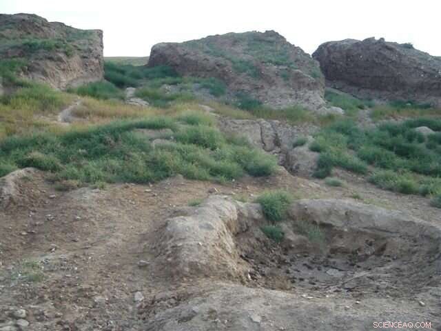 Oxford Study Reveals Mongolian Skull as Earliest Modern Human in the Region