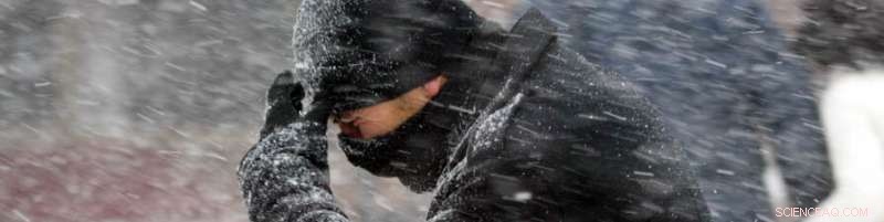 New Study Reveals Online Shoppers Unconsciously Prioritize Immediate Needs