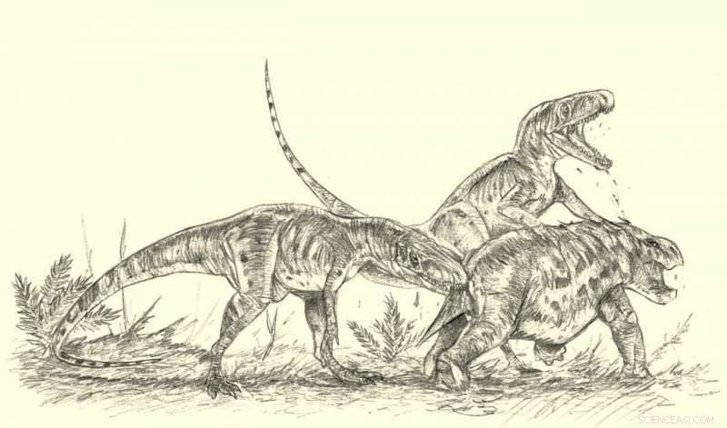 210‑Million‑Year‑Old Archosaur Smok Wawelski Acted Like a Hyena, Crushing Bones for Salt and Marrow