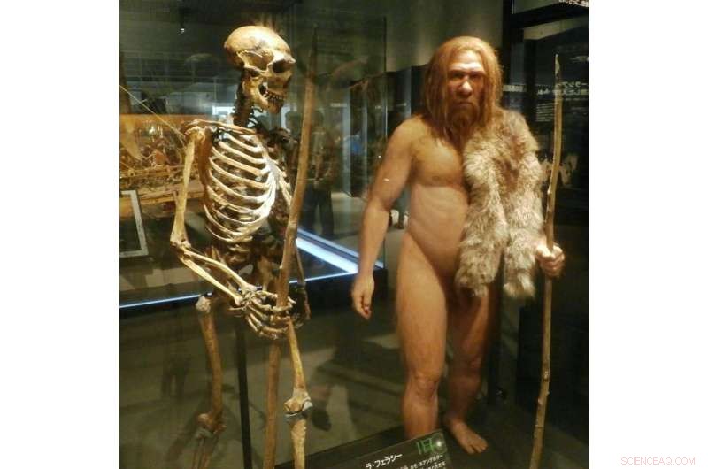 New Study Reveals Neanderthals Were Sprinters, Not Long-Distance Runners