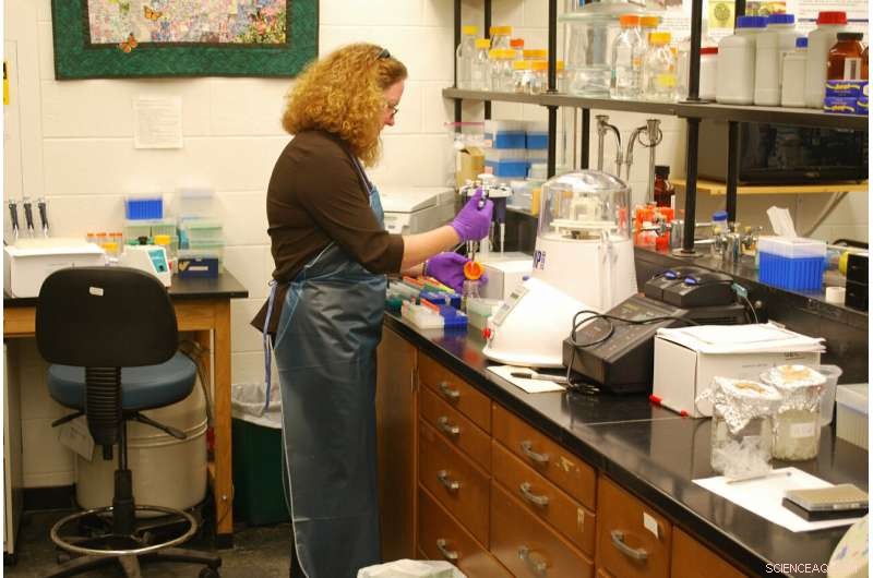 Study Highlights the Critical Value of Basic Research in Driving Breakthrough Technologies