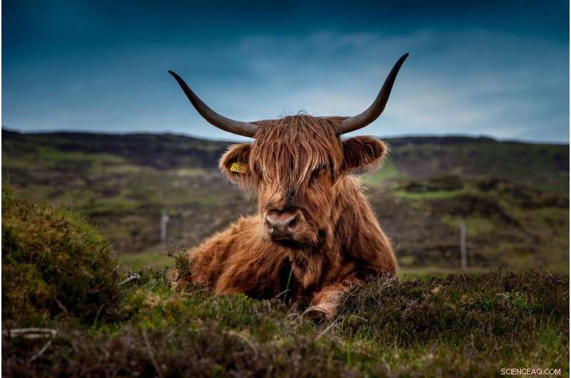 Monthly Paychecks Drive Economic Growth: Why Farmers and Workers Benefit