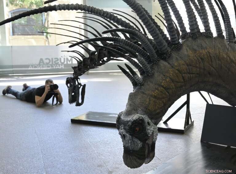 Patagonian Sauropod with Defensive Spines Discovered
