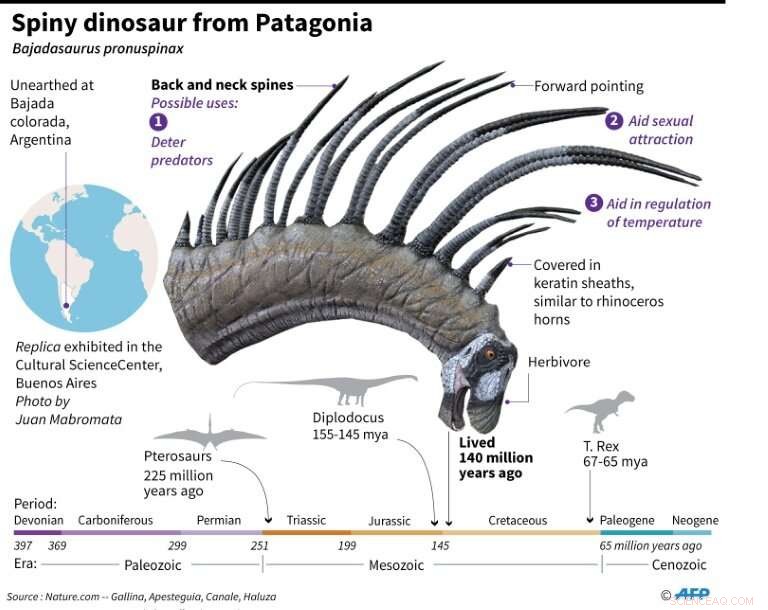 Patagonian Sauropod with Defensive Spines Discovered