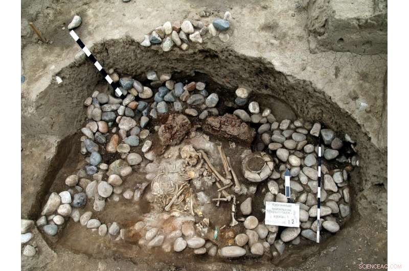 The Caucasus: A Nexus of Genetic Diversity and Cultural Exchange