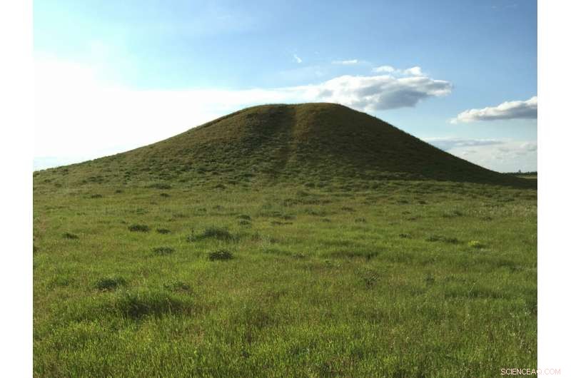 The Caucasus: A Nexus of Genetic Diversity and Cultural Exchange