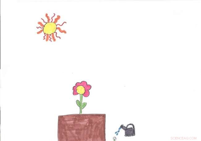 Symmetry: How Children Intuitively Use Dihedral Patterns to Illustrate Plant Life