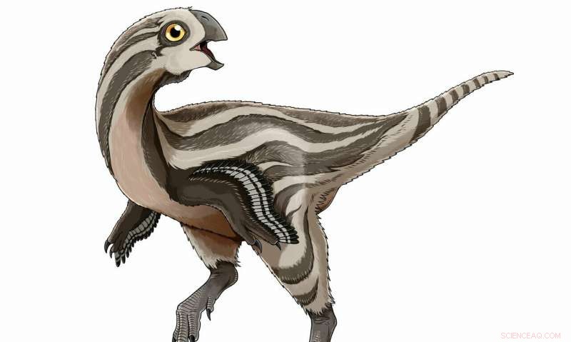 Mongolia Uncovers New Feathered Dinosaur: Oviraptorosaur Species Discovered