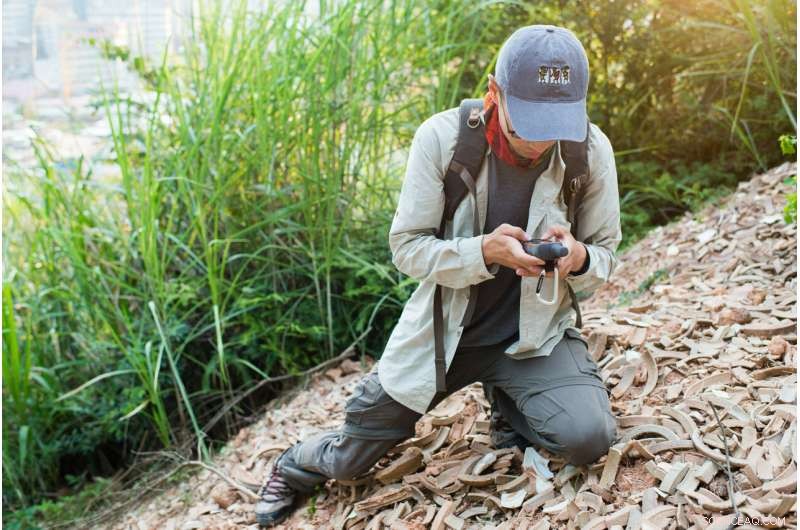 X‑Ray Analysis Uncovers Provenance of Pottery from Ancient Java Sea Shipwreck