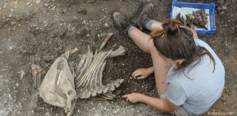 Archaeologists Warn: Don’t Equate Prehistoric Events with Brexit