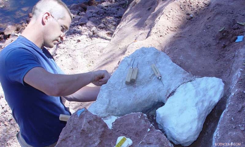 New Heart‑Shaped Tail Dinosaur, Mnyamawamtuka, Illuminates Cretaceous African Ecosystems