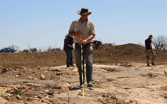 Massive Dinosaur Trackway Unearthed in Queensland’s Winton, Revealing Three Distinct Species