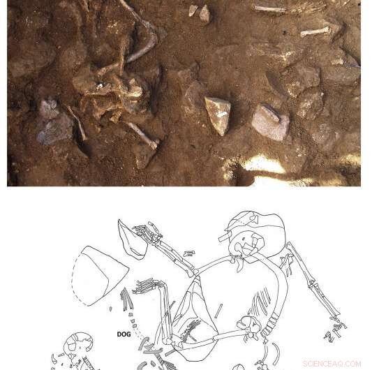 Dog Burials as Ritual Practice among Neolithic Communities in Northeast Iberia