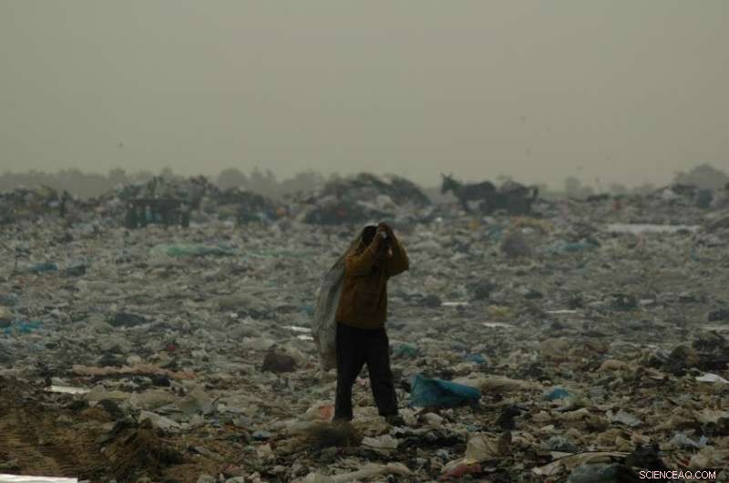 Study Reveals Human Cost of Targeted Infrastructure Attacks in Gaza and West Bank