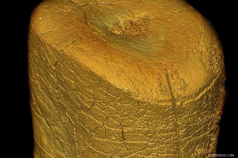 Isotope Analysis Reveals Neanderthals Primarily Consumed Fresh Meat