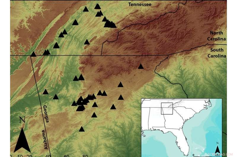 Mississippian Mound Builders: America s First Social Media Networks
