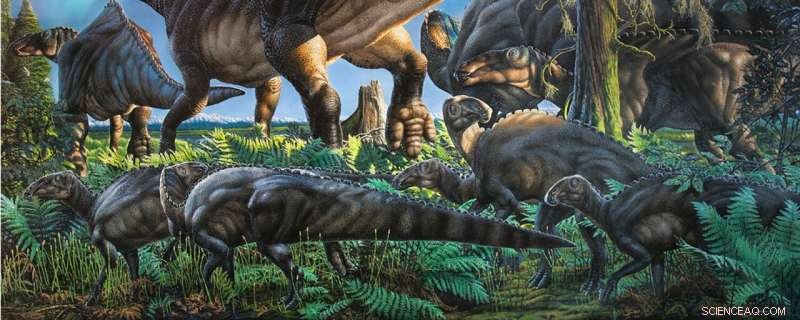 Alaskan Marsupial Survives Four-Month Winter Darkness – New Fossil Discovery