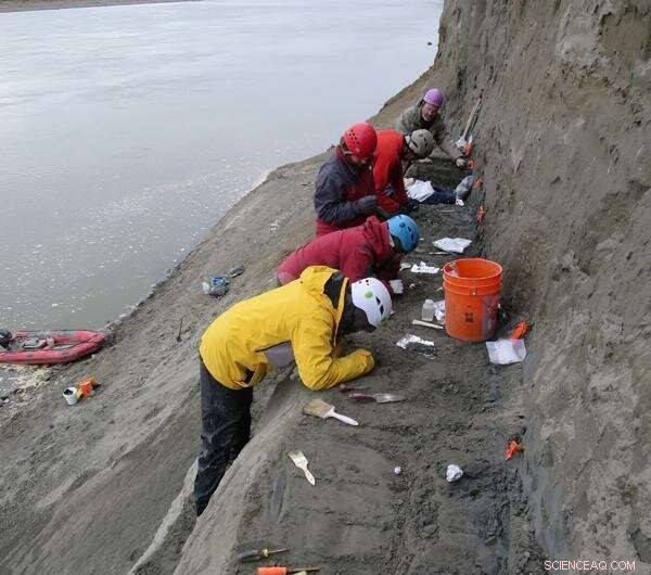Alaskan Marsupial Survives Four-Month Winter Darkness – New Fossil Discovery