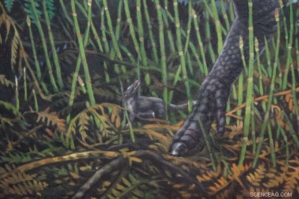Alaskan Marsupial Survives Four-Month Winter Darkness – New Fossil Discovery