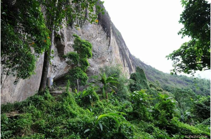 Early Humans Targeted Primates: 45,000-Year-Old Evidence from Sri Lanka