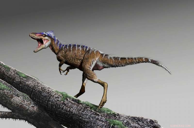 Tiny Tyrannosaur Discovery Illuminates T. rex’s Evolutionary Path
