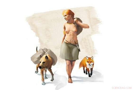 New Evidence Shows Humans Tamed Foxes in the Bronze Age