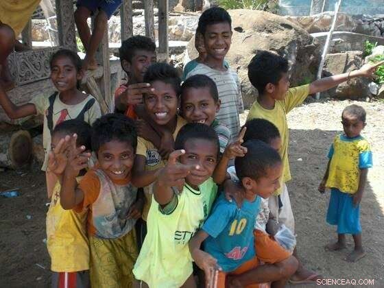 Preserving Languages: A Crucial Step for Linguists to Unlock Human Language