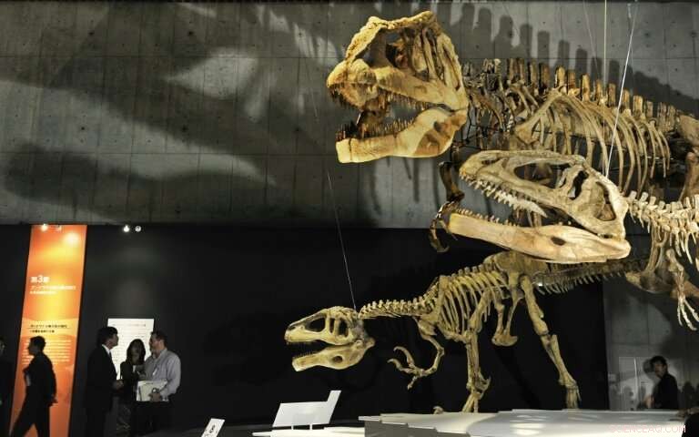 Asteroid or Volcanic Eruptions? Unraveling the True Causes Behind Dinosaurs  Extinction