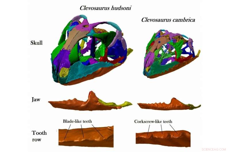 Bristol Student Digitally Reconstructs Skulls of Two Ancient Reptile Species
