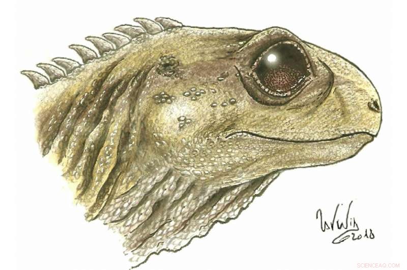 Bristol Student Digitally Reconstructs Skulls of Two Ancient Reptile Species