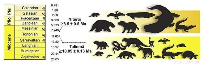 Giants of the Amazon: How Massive Animals Thrived in the Pebas Mega-Wetland