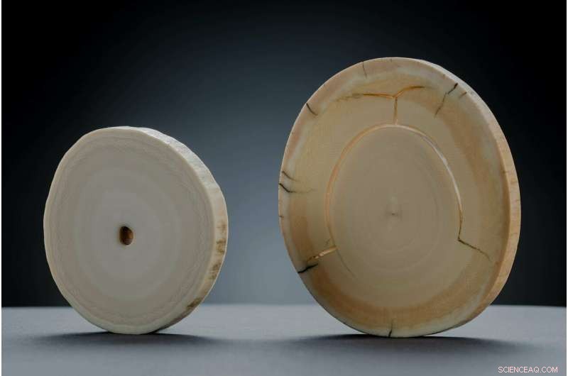 Scientists Uncover Durable Properties of Mammoth Ivory from Siberian Permafrost