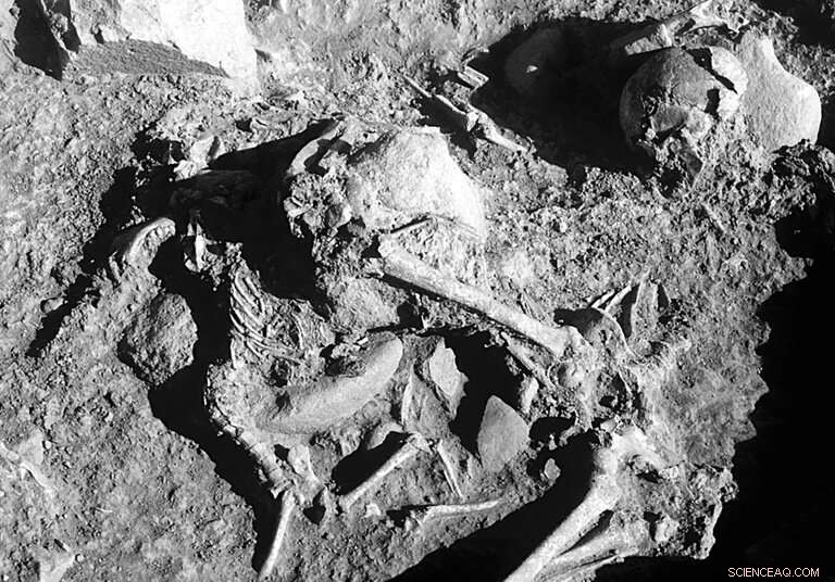 Neolithic Communities Near Barcelona Showed Deep Bonds With Dogs