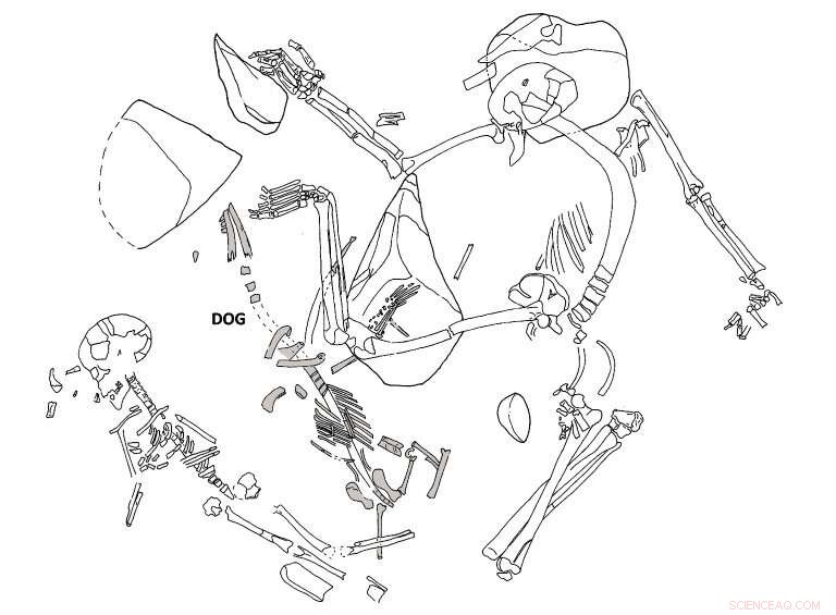 Neolithic Communities Near Barcelona Showed Deep Bonds With Dogs